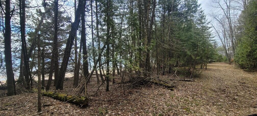 Tbd State Highway M35 - Property Photo 19