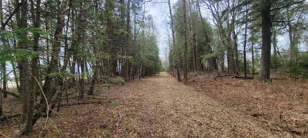 Tbd State Highway M35 - Property Photo 20