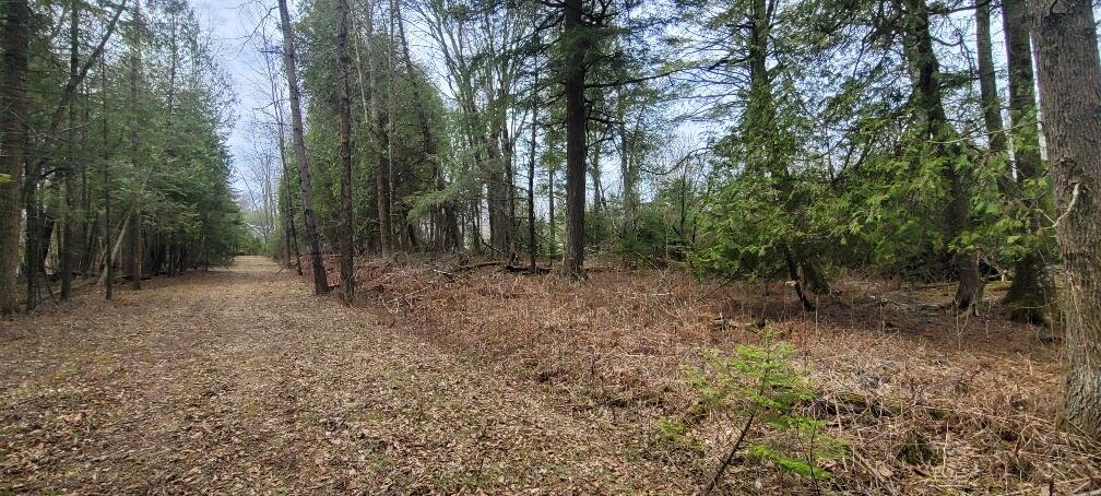 Tbd State Highway M35 - Property Photo 21