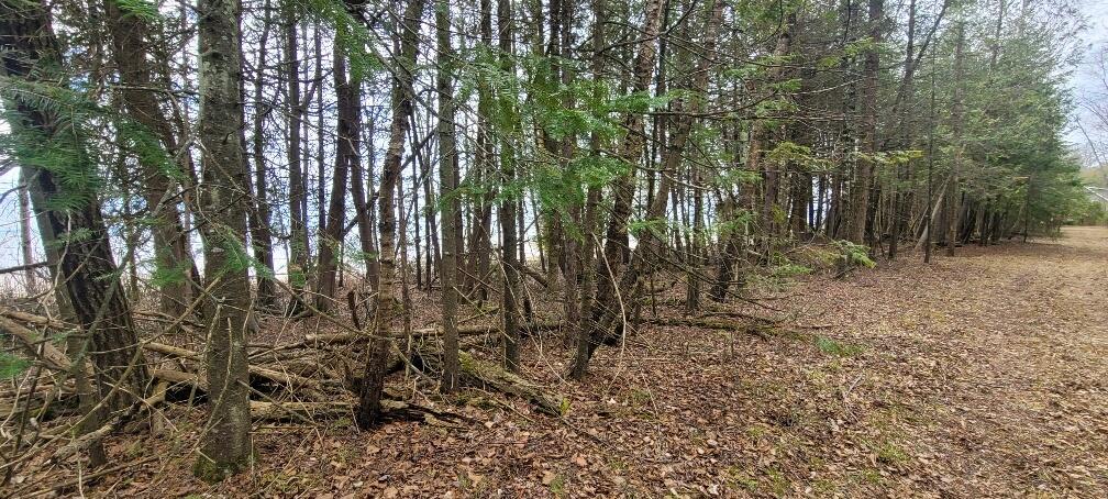 Tbd State Highway M35 - Property Photo 22