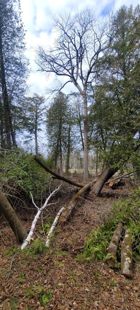 Tbd State Highway M35 - Property Photo 23