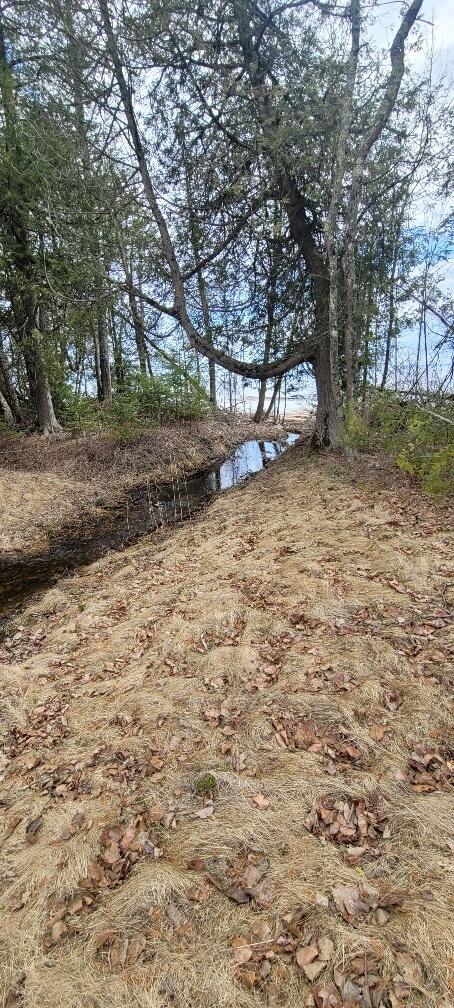 Tbd State Highway M35 - Property Photo 25