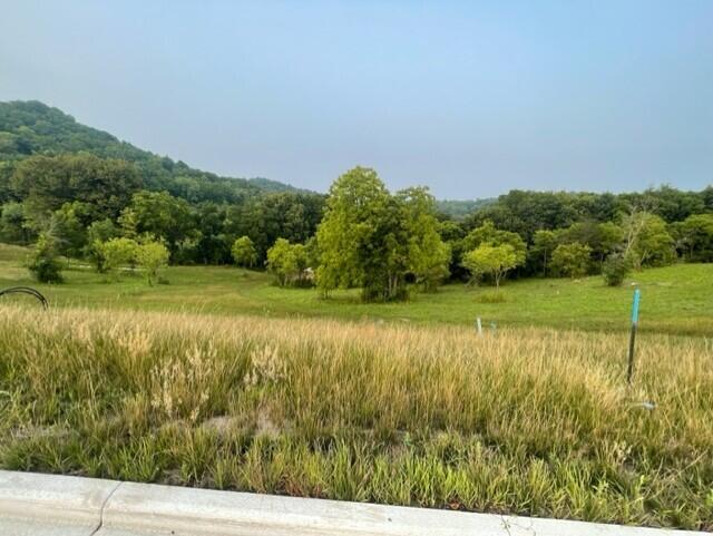 Lot 48 Madison Heights Dr Property Photo 1