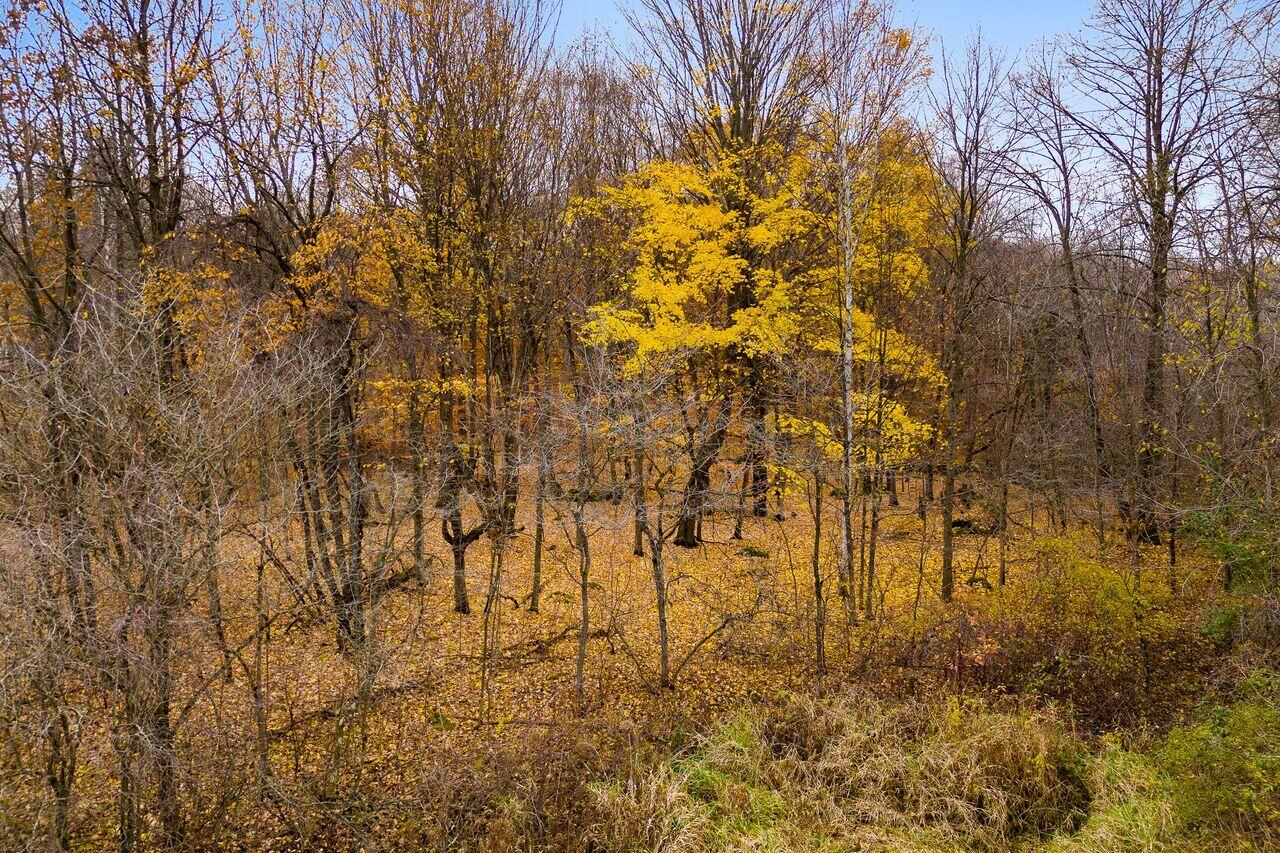 Lt2 Carstens Lake Rd Property Photo 1