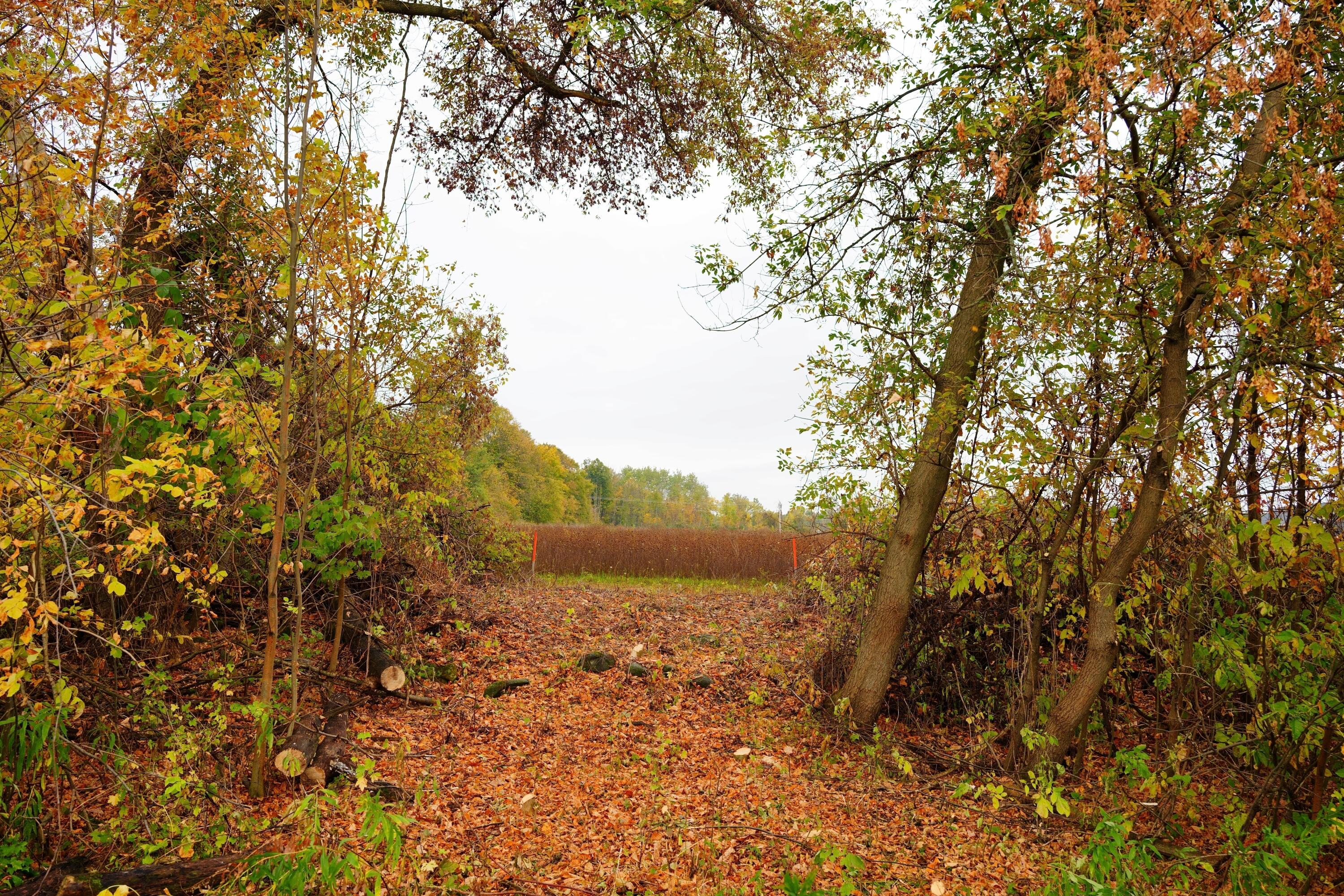 Lt2 County Road As - Property Photo 1