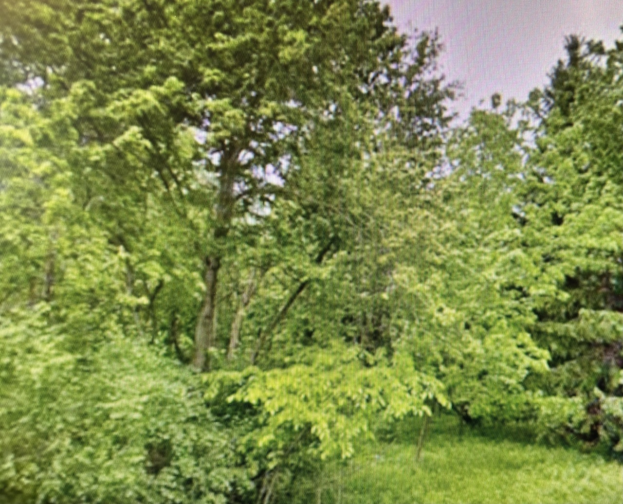 Lt1 County Highway CC -