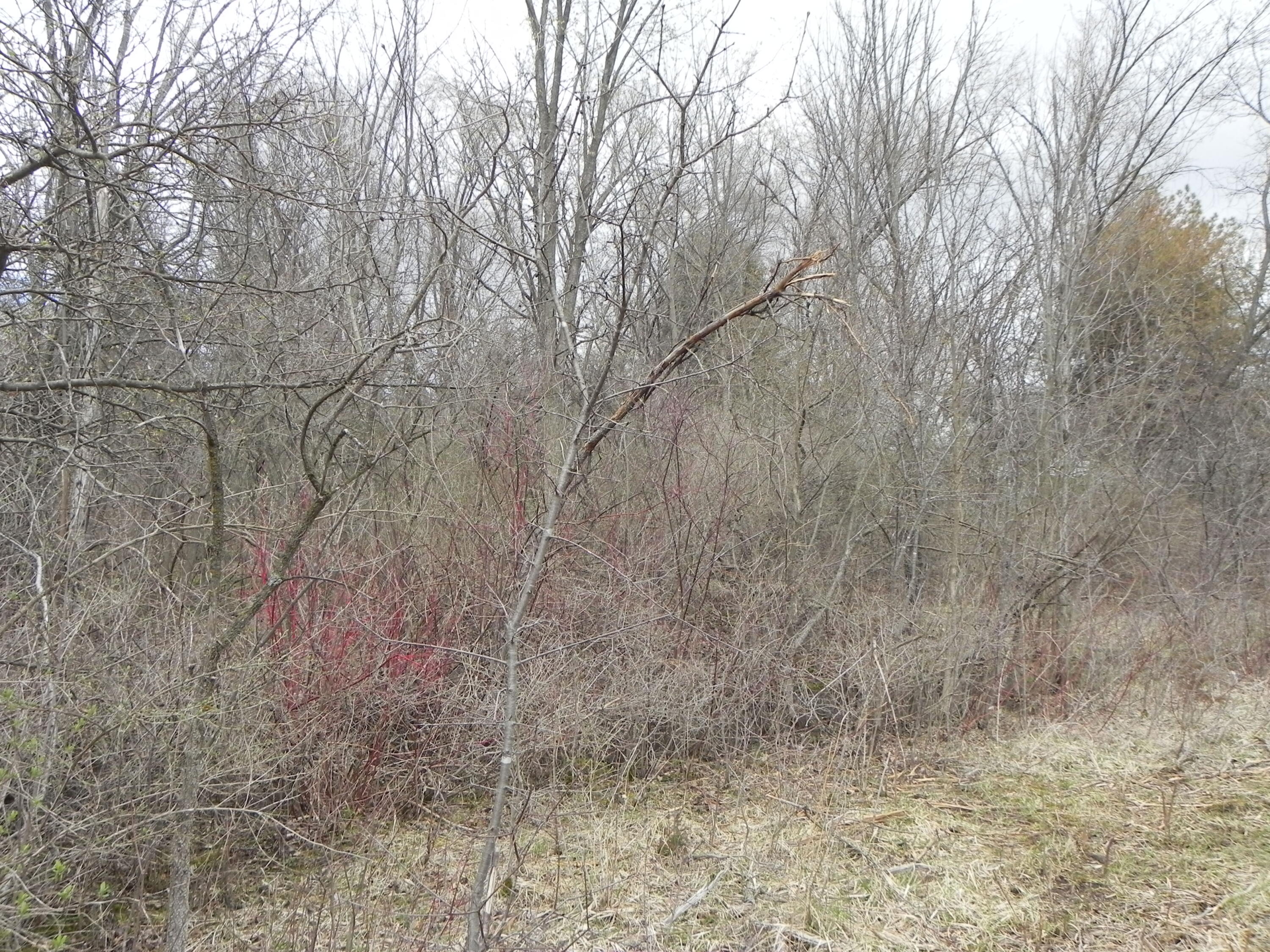 18180 W Dale Dr Property Photo 1