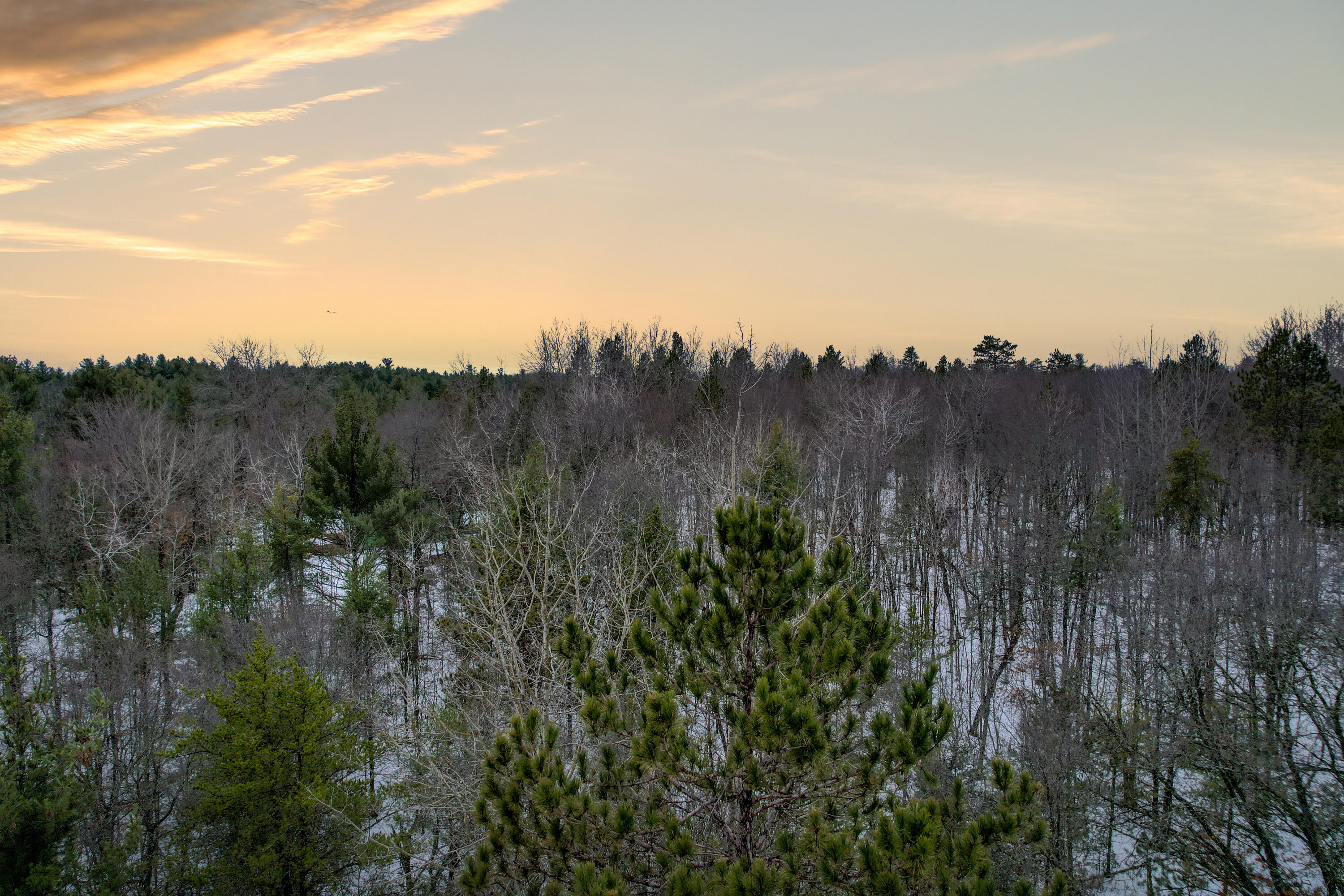 Lt26 Deepwoods Trl Property Photo 1
