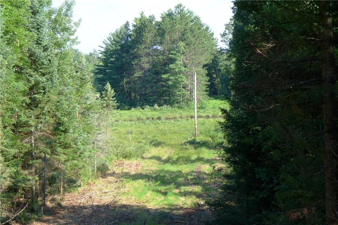 0 Brandt Rd Property Photo 1