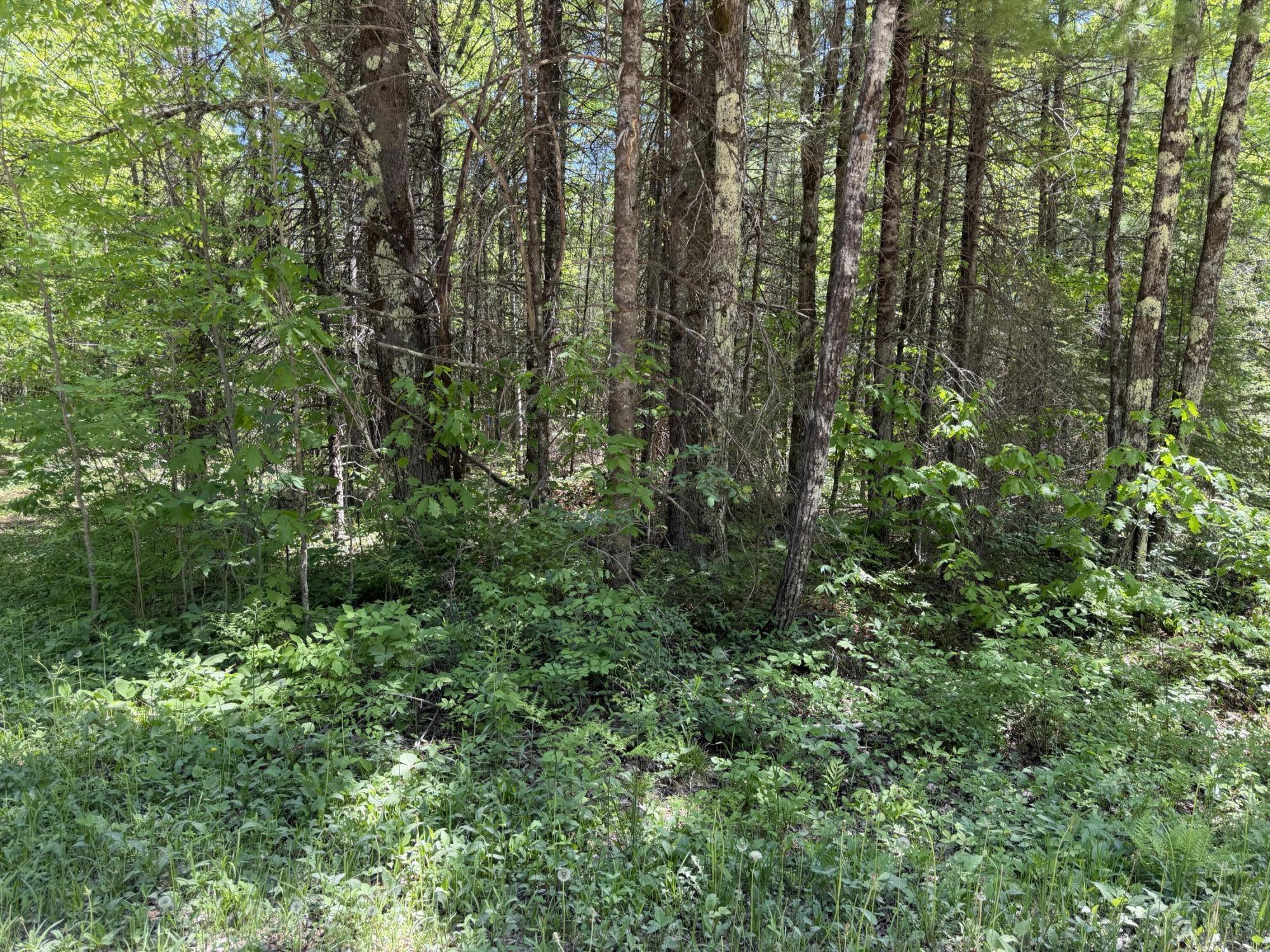 Lt2 Westberg Rd Property Photo 1