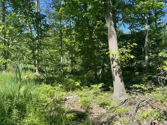 Cty Shawano Line Rd Property Photo 1