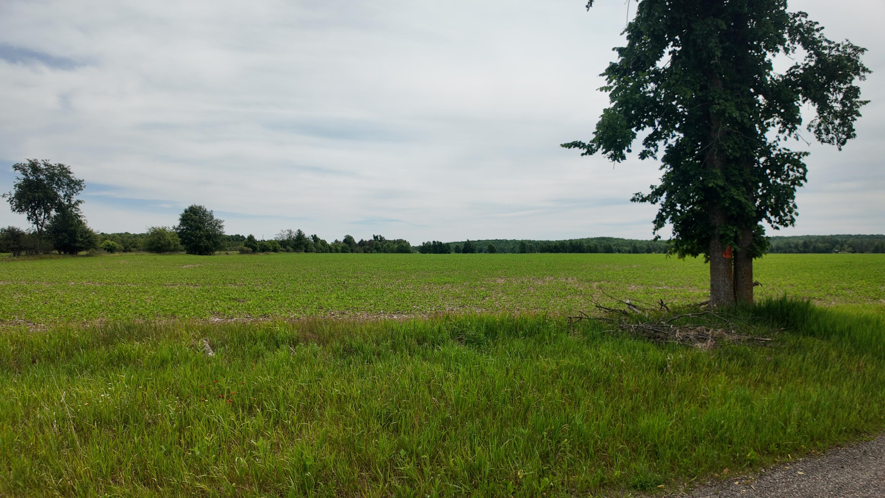 Lt1 Peshtigo River Rd Property Photo 1