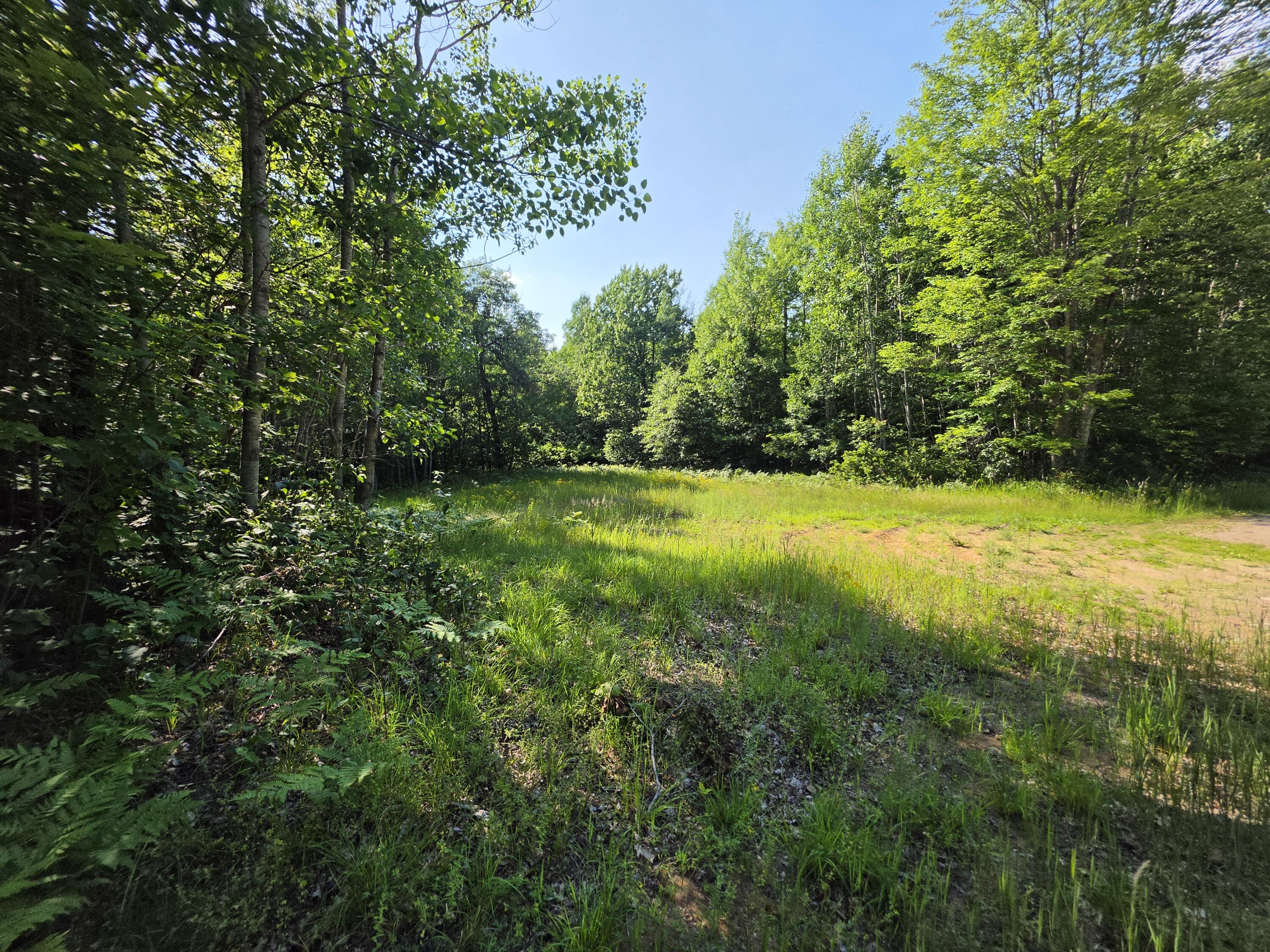 Lt0 Oak Ridge Rd Property Photo 1