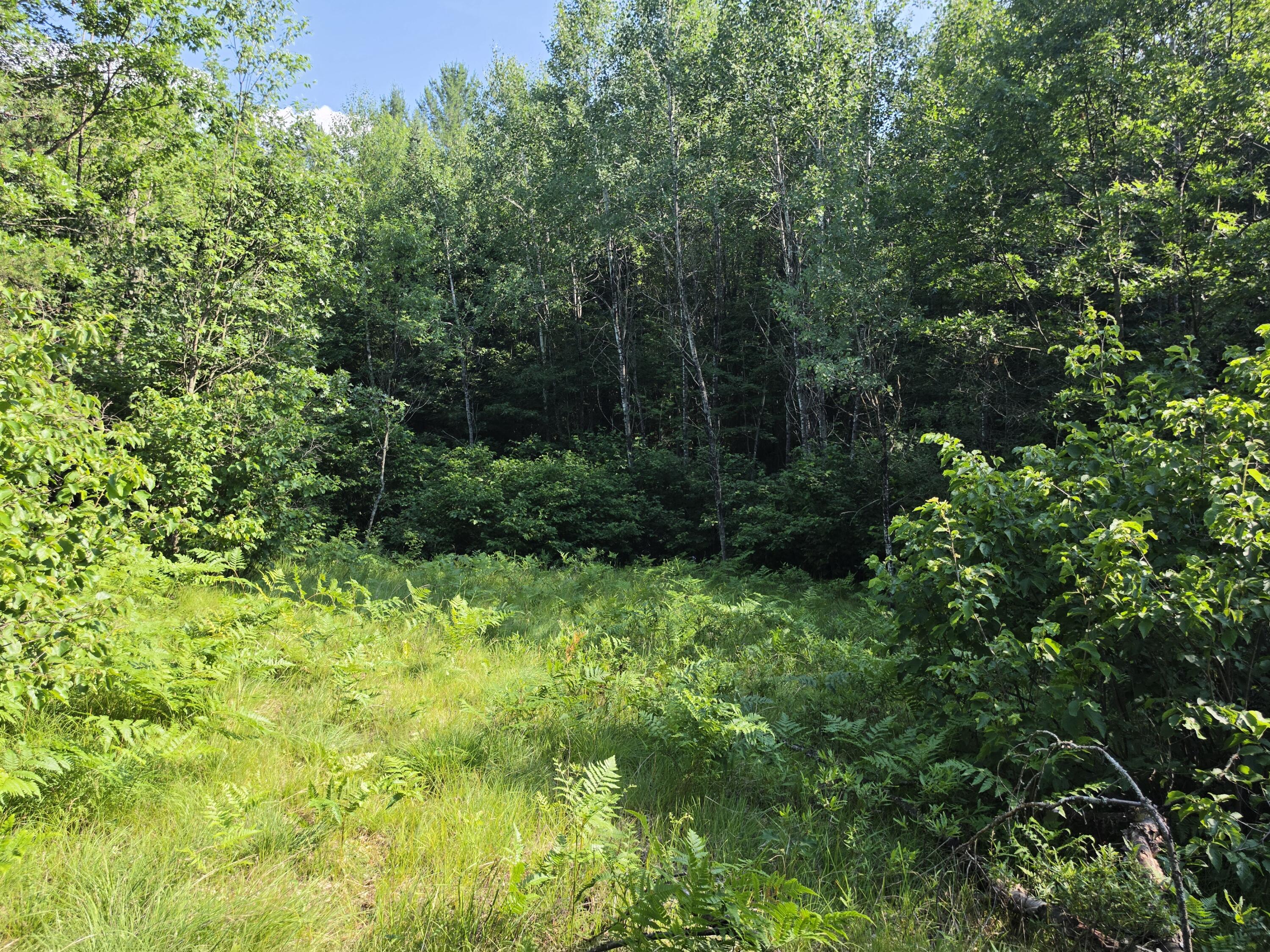 Lt1 Oak Ridge Rd Property Photo 1