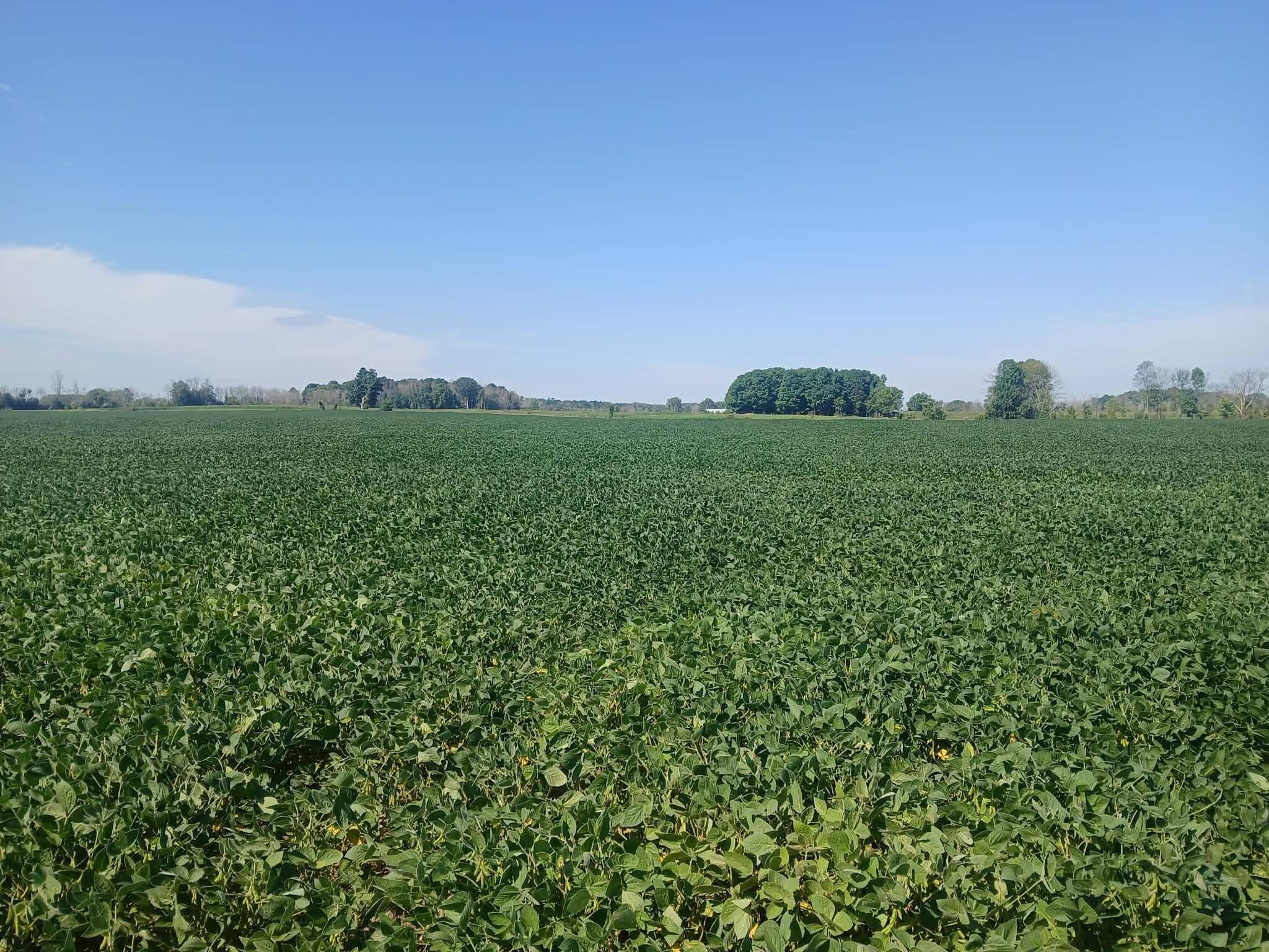 Lt69.26 County Road R - Property Photo 1