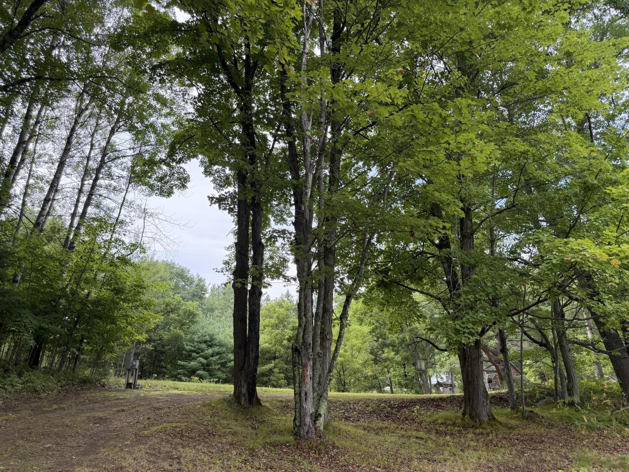 N14863 Lanfear Rd