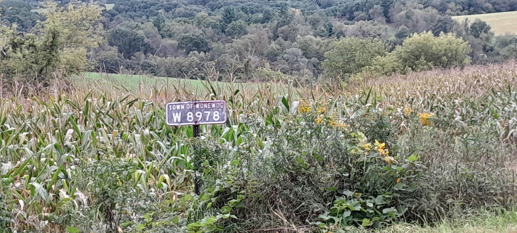 W8978 Preuss Rd Property Photo 1