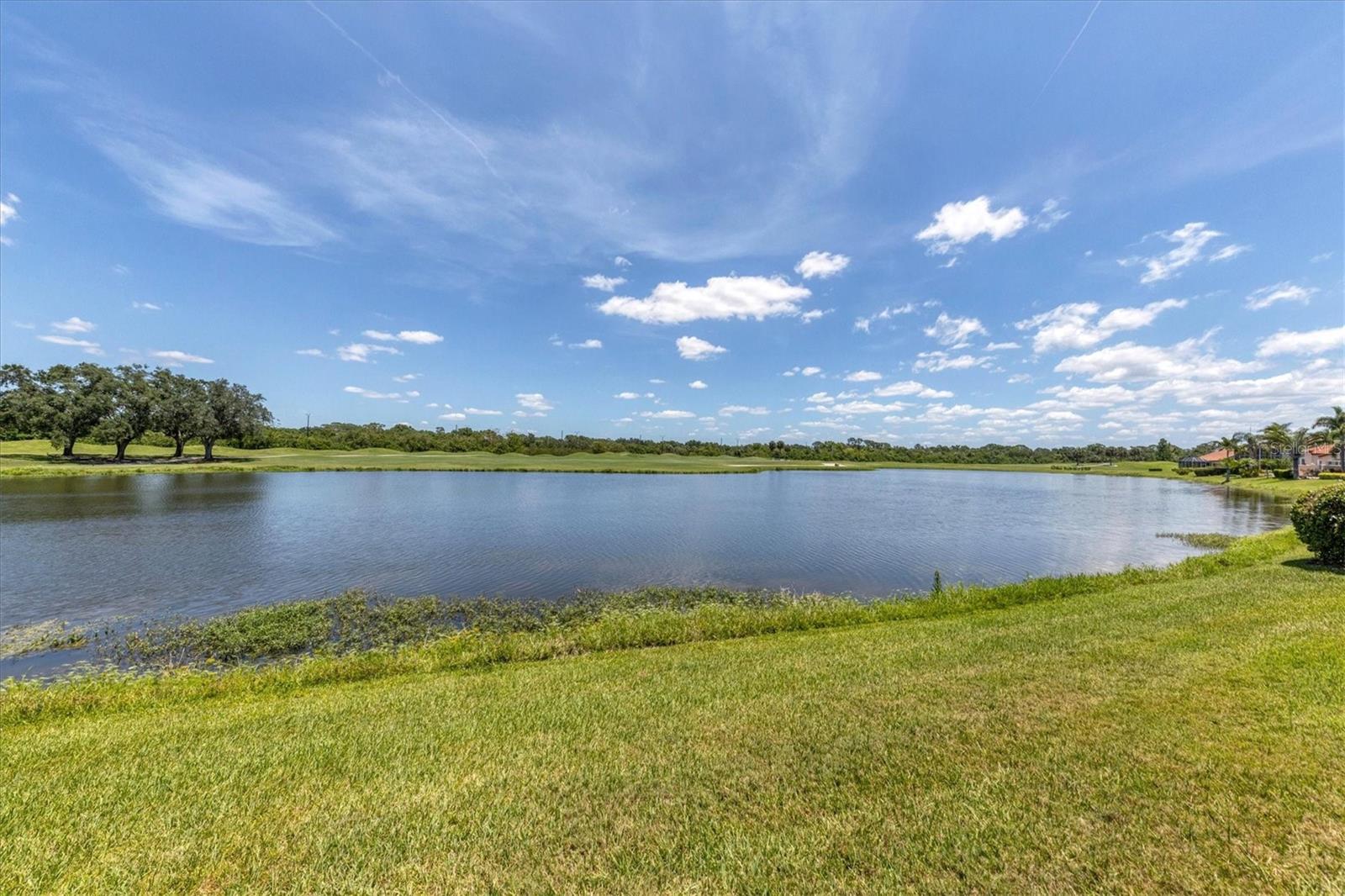 7263 Regina Royale #3 Property Photo 26