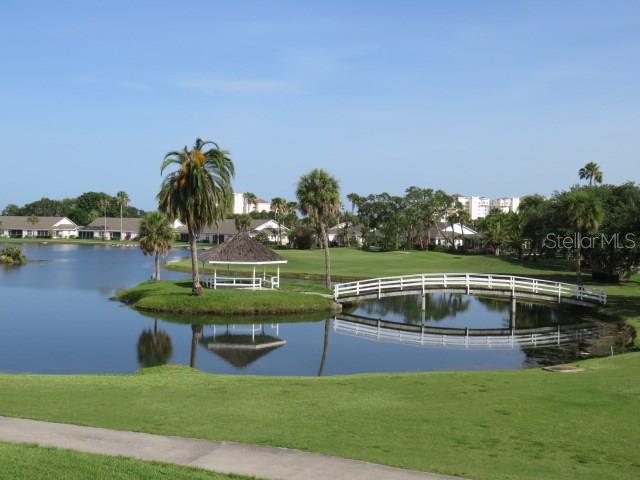 2625 Terra Ceia Bay Blvd #802 Property Photo 26