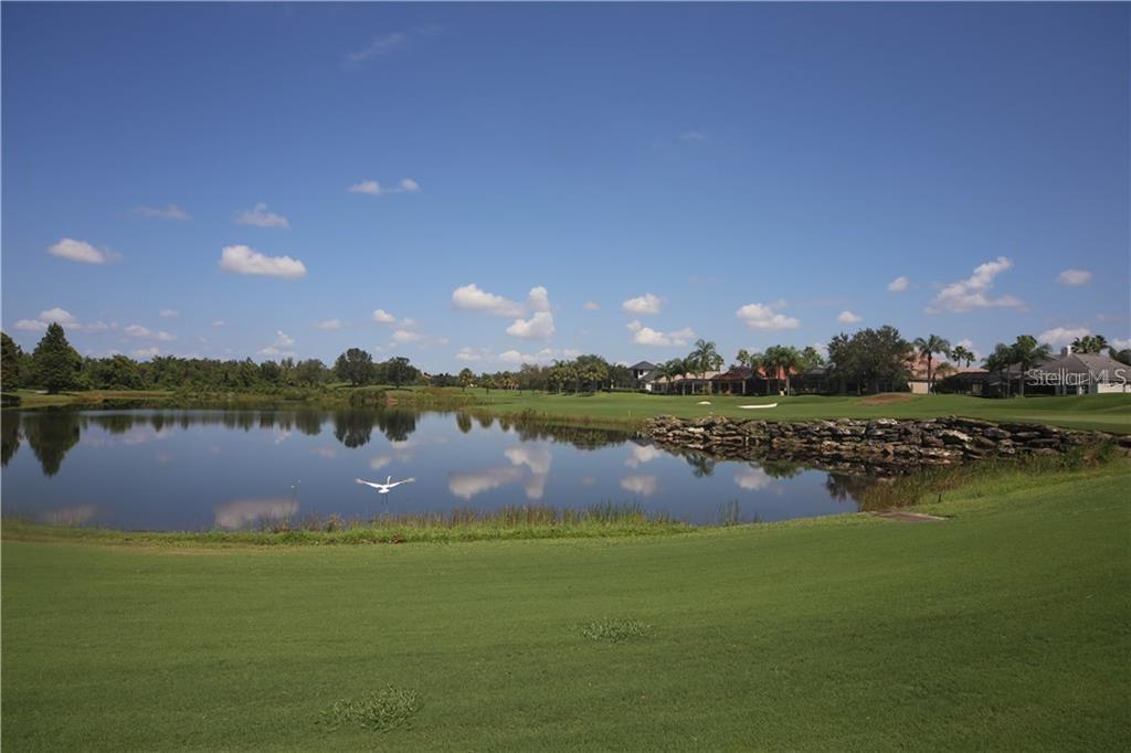 A4443856 Property Photo 24