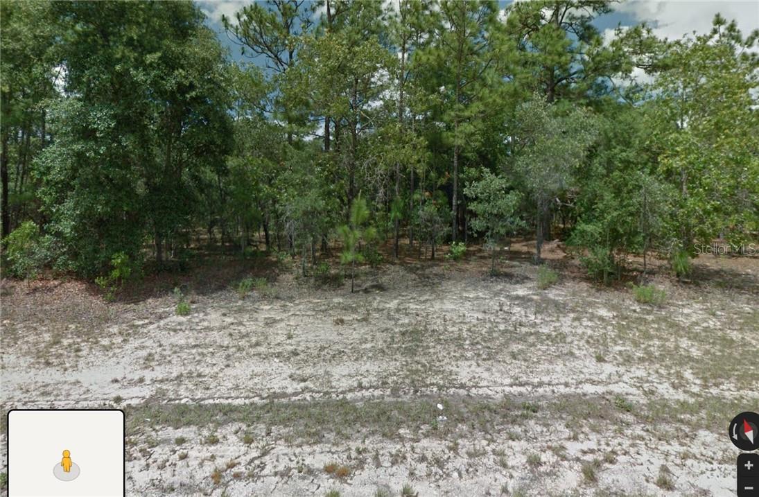 1581 W Thumper Dr Property Photo 2
