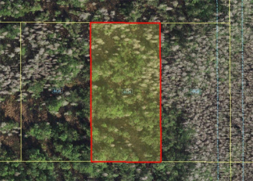 Holopaw Groves Rd Property Photo 2