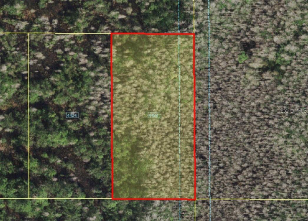 Holopaw Groves Rd Property Photo 2