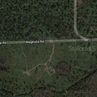 MAGNOLIA RD