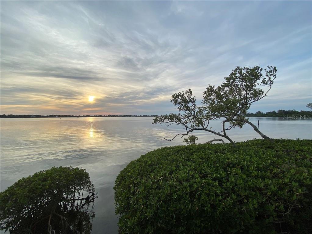 1667 Brookhouse Cir #br128 Property Photo 36