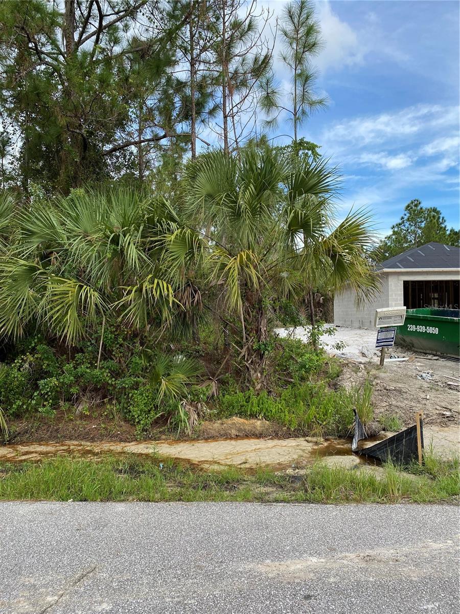 Lacoco St Property Photo 2
