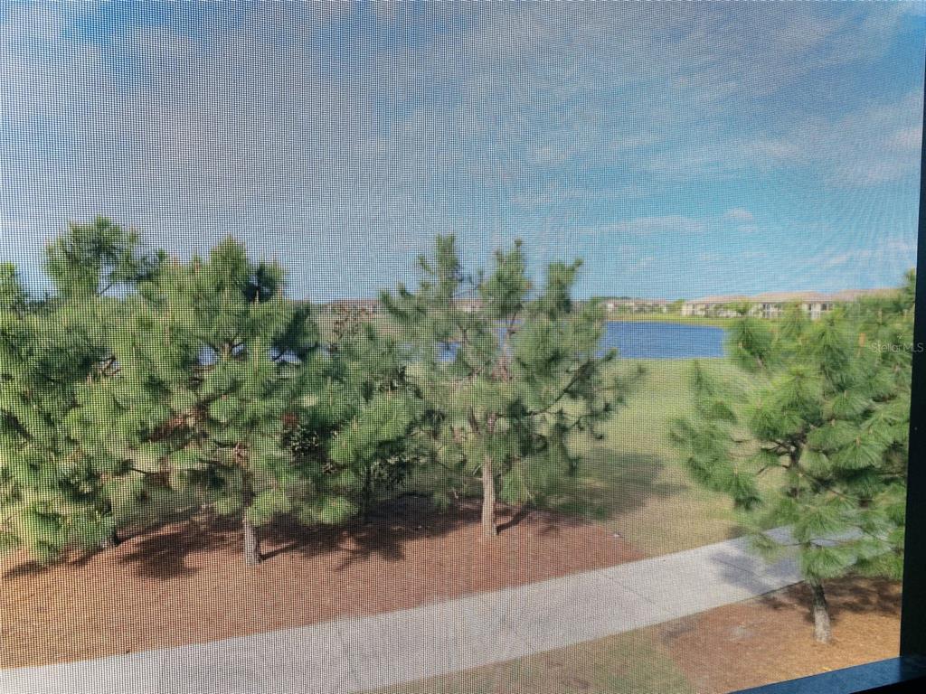 5664 Palmer Cir #202 Property Photo 39