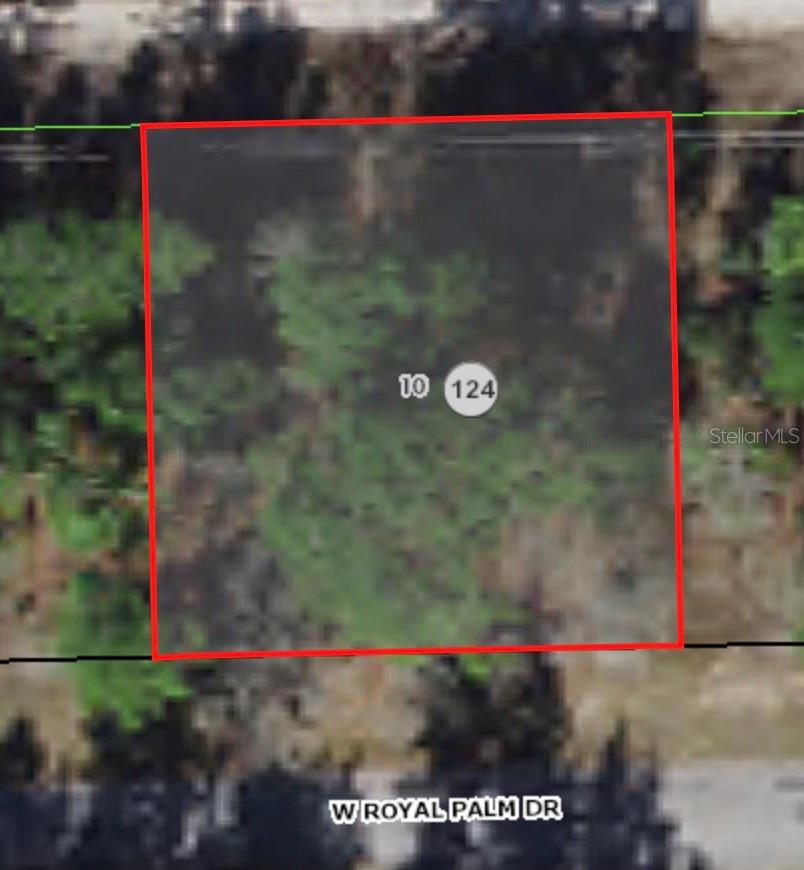 2671 W Royal Palm Dr Property Photo 1