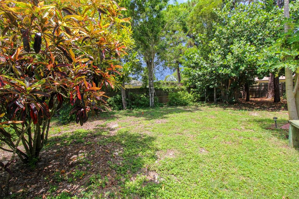 1116 Royal Rd Property Photo 3