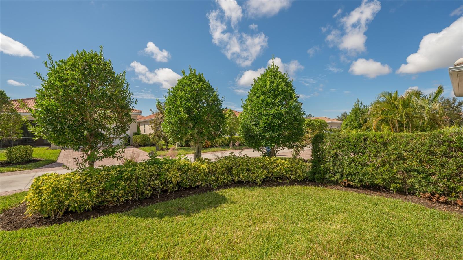 1498 Ernesto Dr Property Photo 33