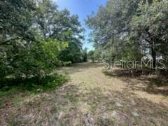 3910 Dunn Dr Property Photo 4