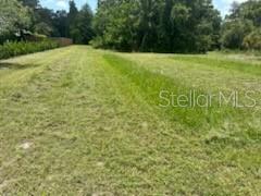 3910 Dunn Dr Property Photo 33
