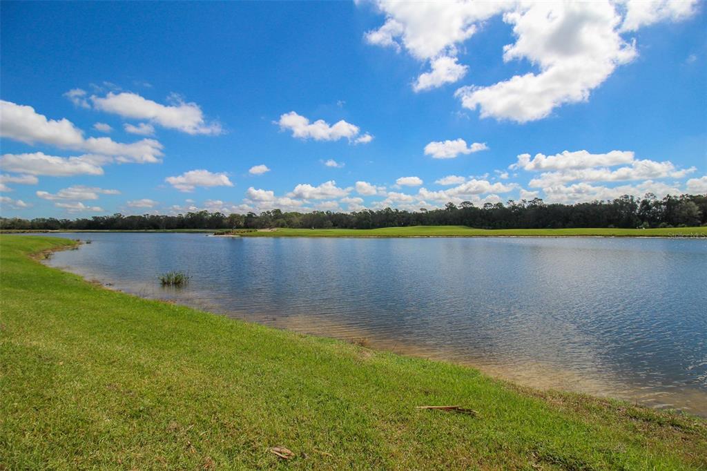 16814 Vardon Ter #102 Property Photo 45
