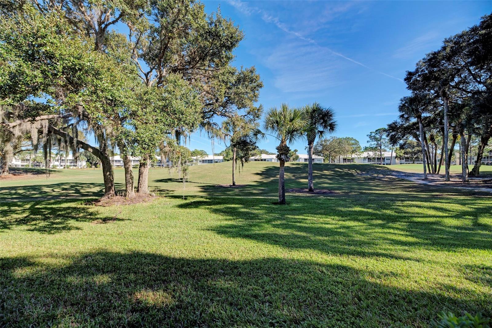 216 Cerromar Way S #30 Property Photo 39