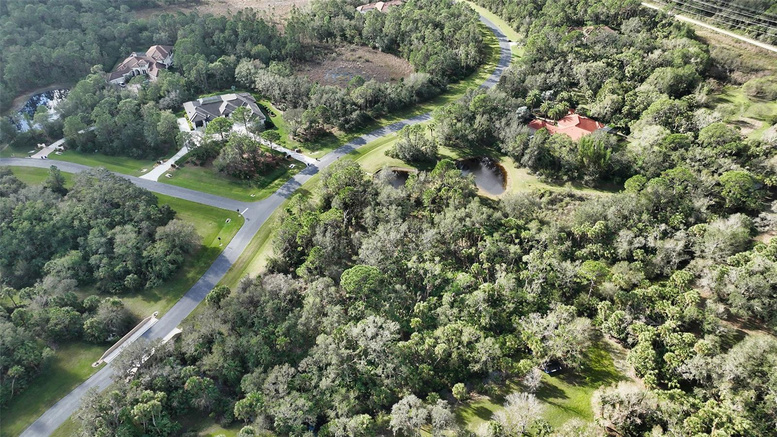 9255 Swaying Branch Rd Property Photo 17