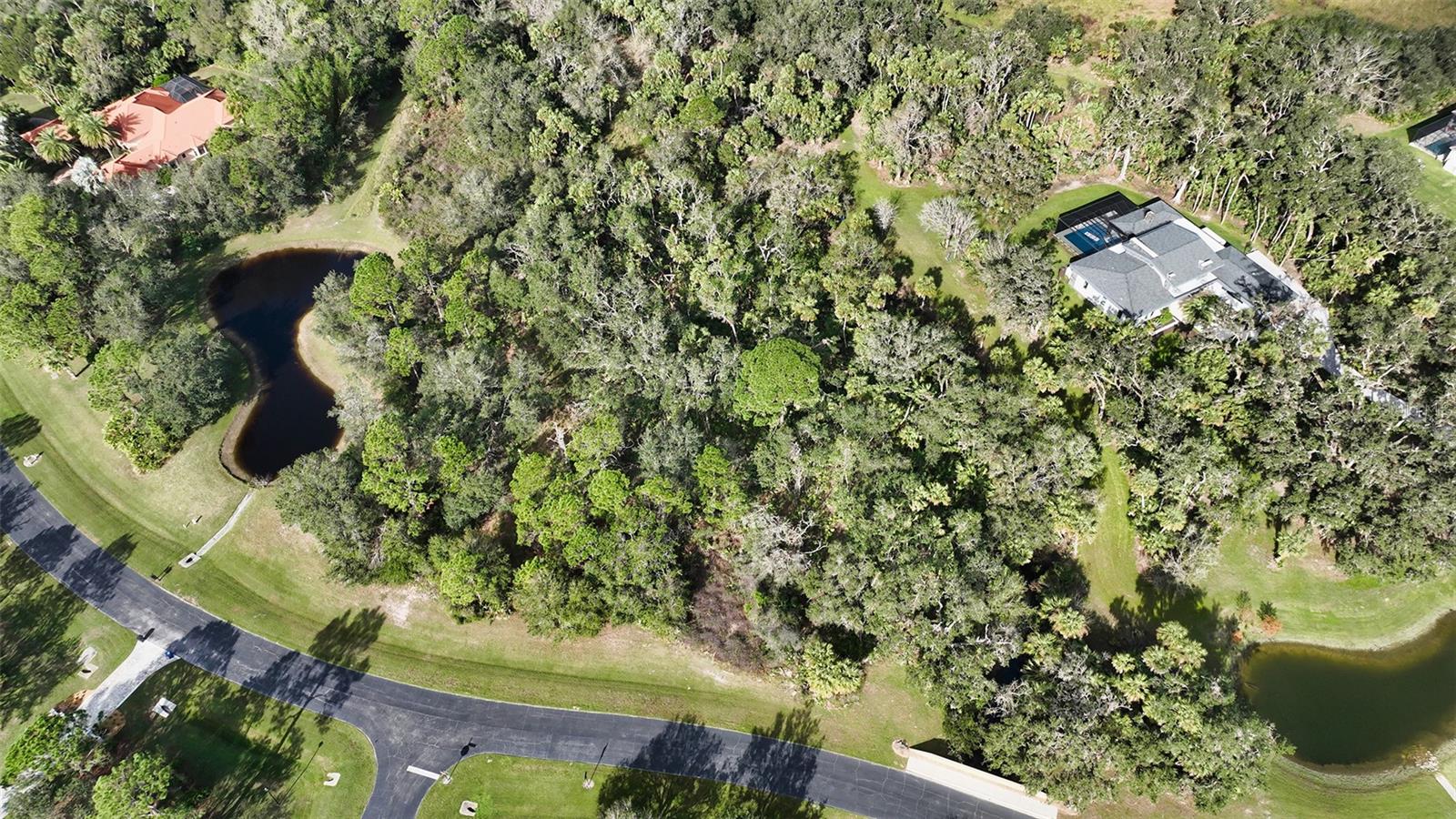 9255 Swaying Branch Rd Property Photo 22