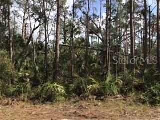 Lolly Rd Property Photo 1