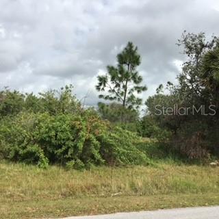 PERENNIAL RD Property Photo 1