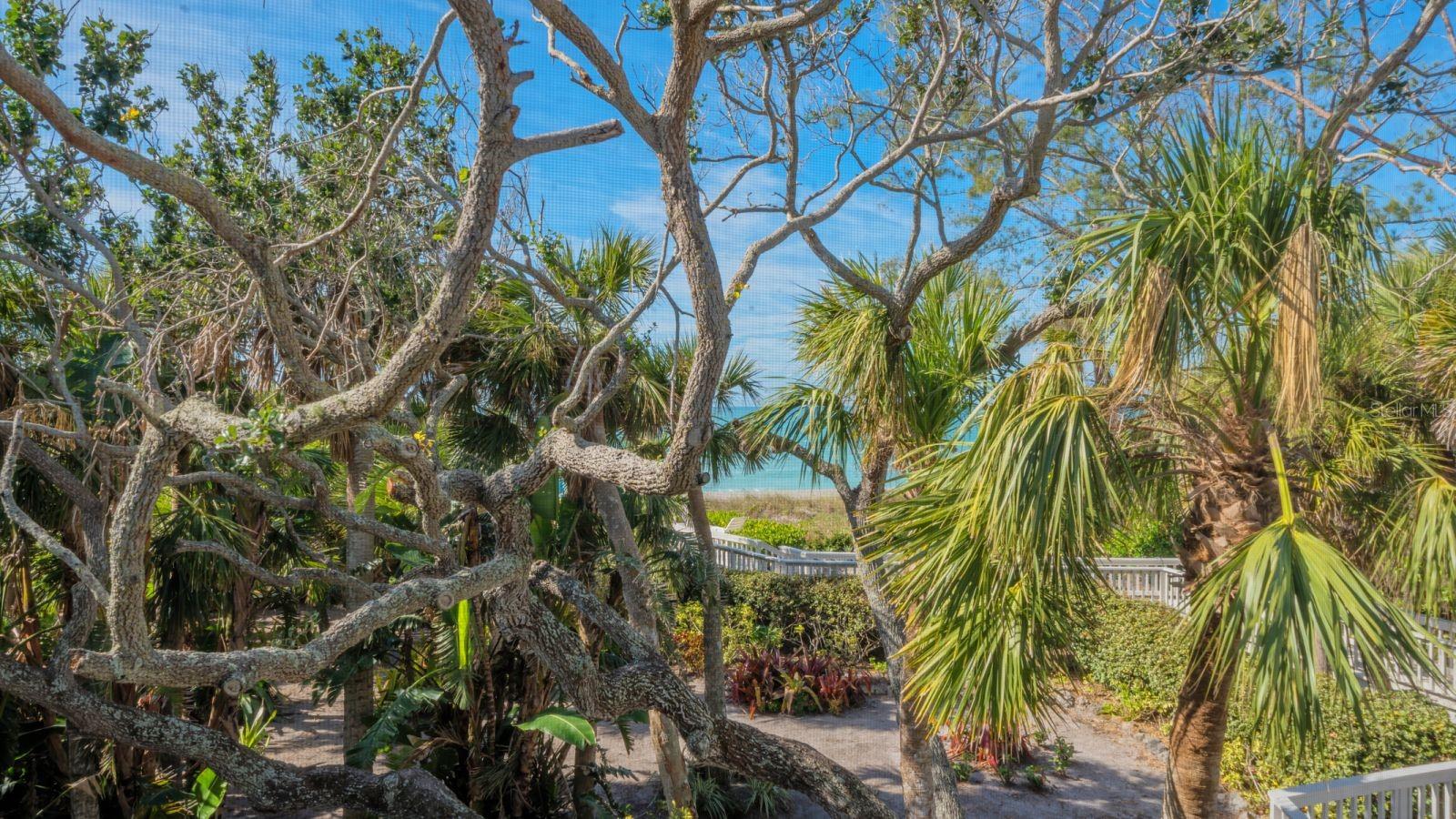 6570 Manasota Key Rd Property Photo 60