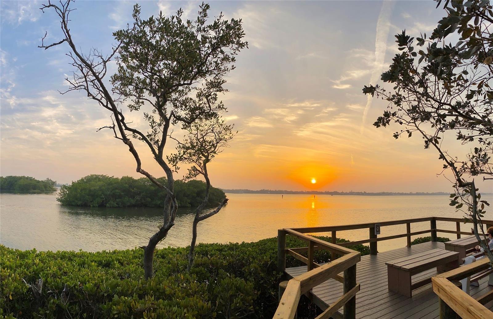 1716 Glenhouse Dr #gl323 Property Photo 25