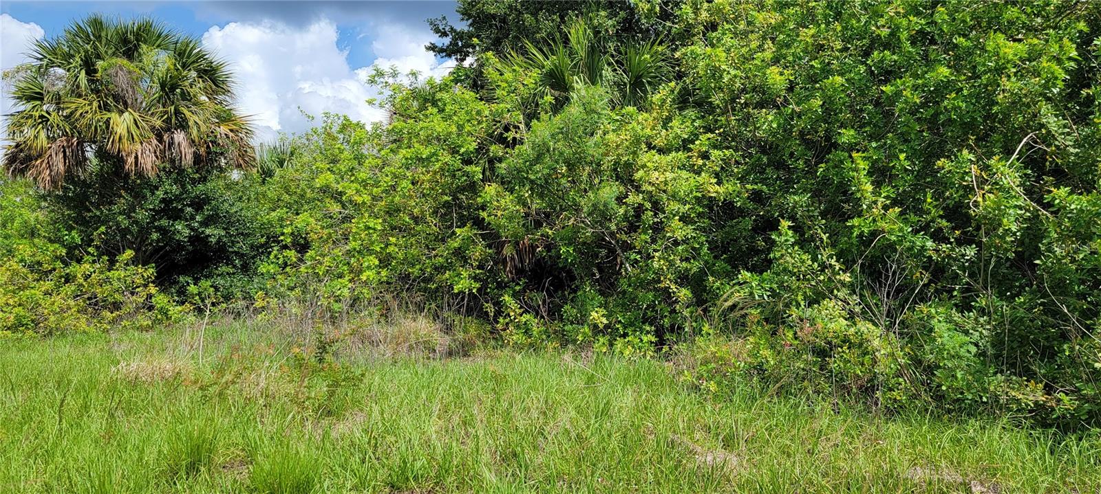 Tare Court Property Photo 3