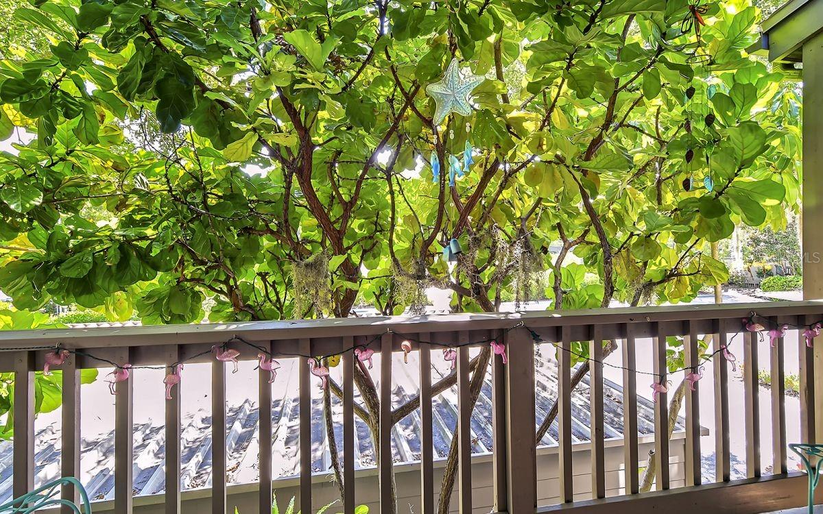 1633 Boathouse Cir #ha233 Property Photo 21