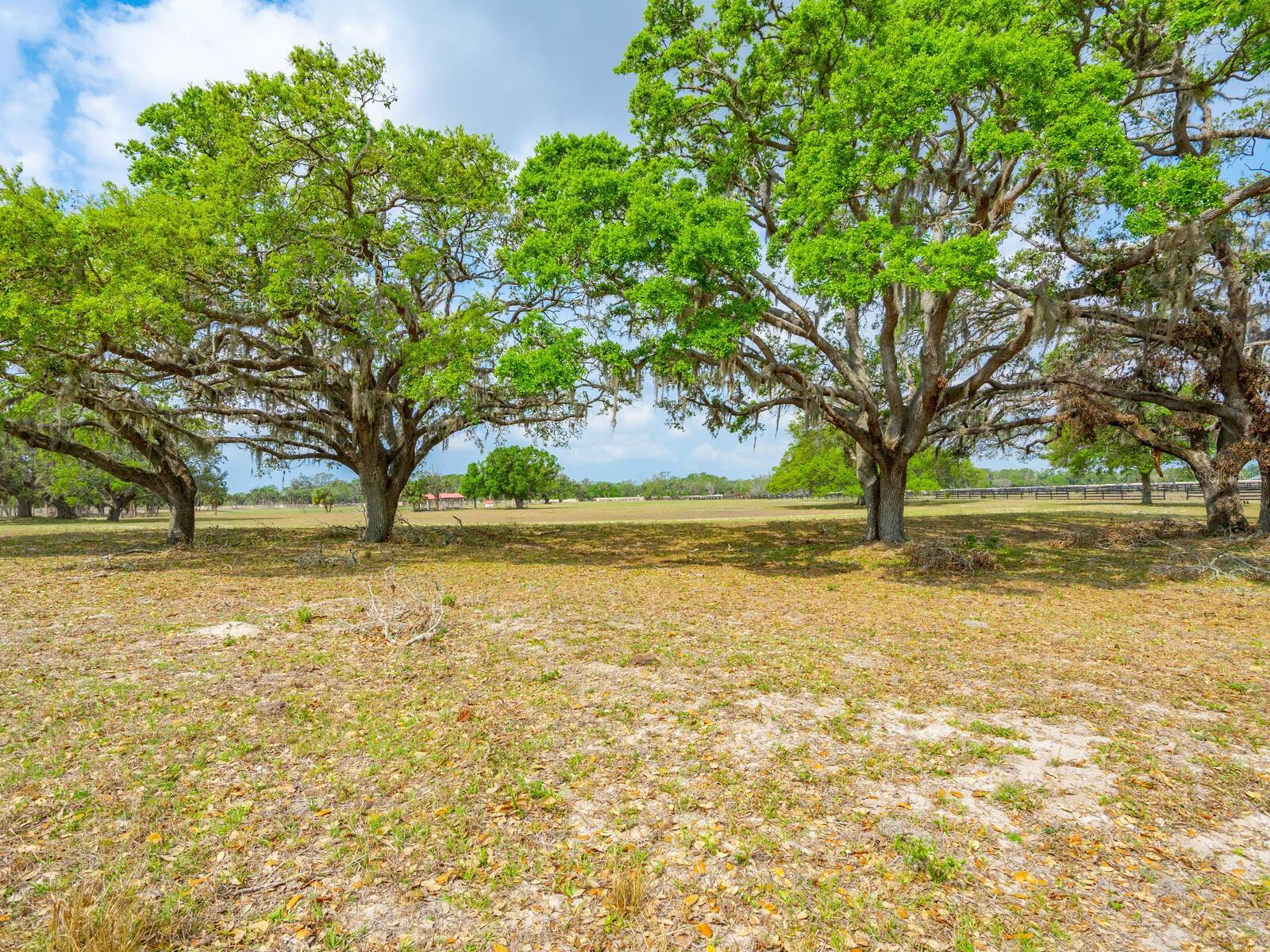 0396014400 Property Photo 23
