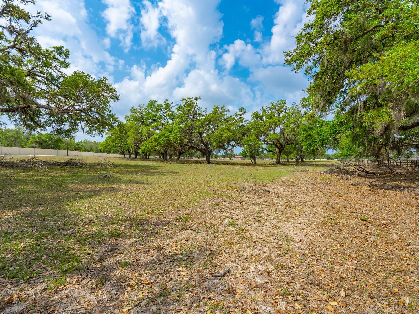 0396014400 Property Photo 28
