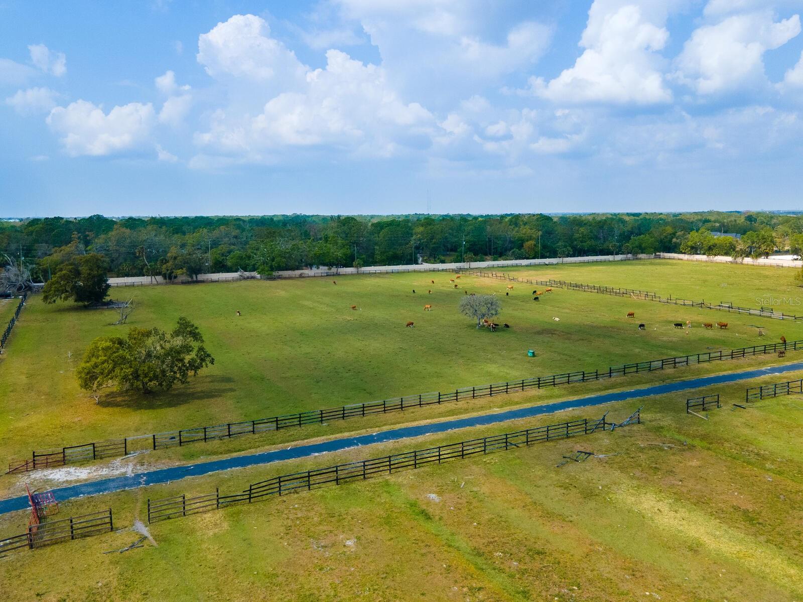 0396014400 Property Photo 30
