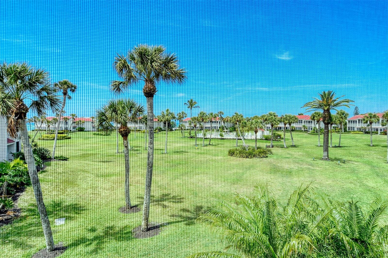 7115 Gulf Of Mexico Drive #21 Property Photo 31